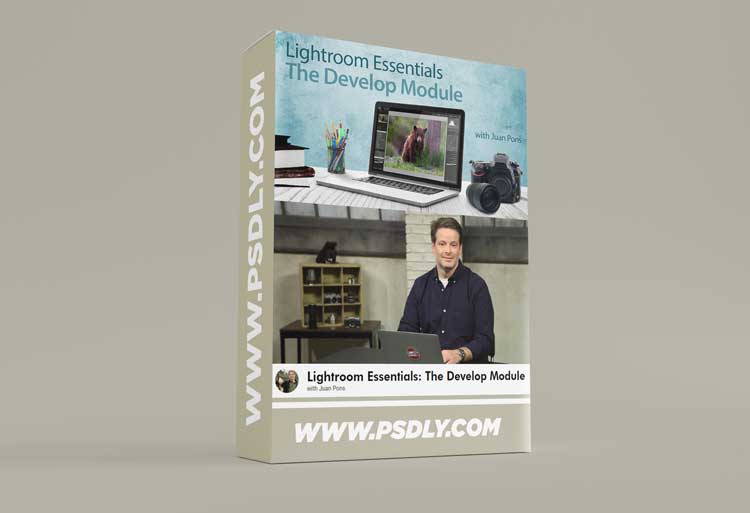 Lightroom Essentials: The Develop Module
