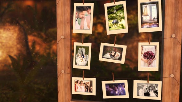 Videohive Photo gallery in an enchanted forest 24597028
