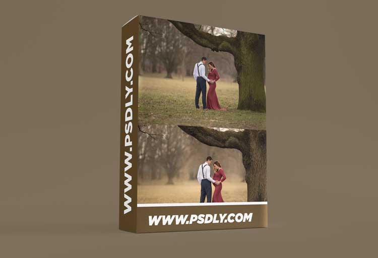 ShootCreateCaptivate – “Evolution of Life” – Post Processing Tutorial