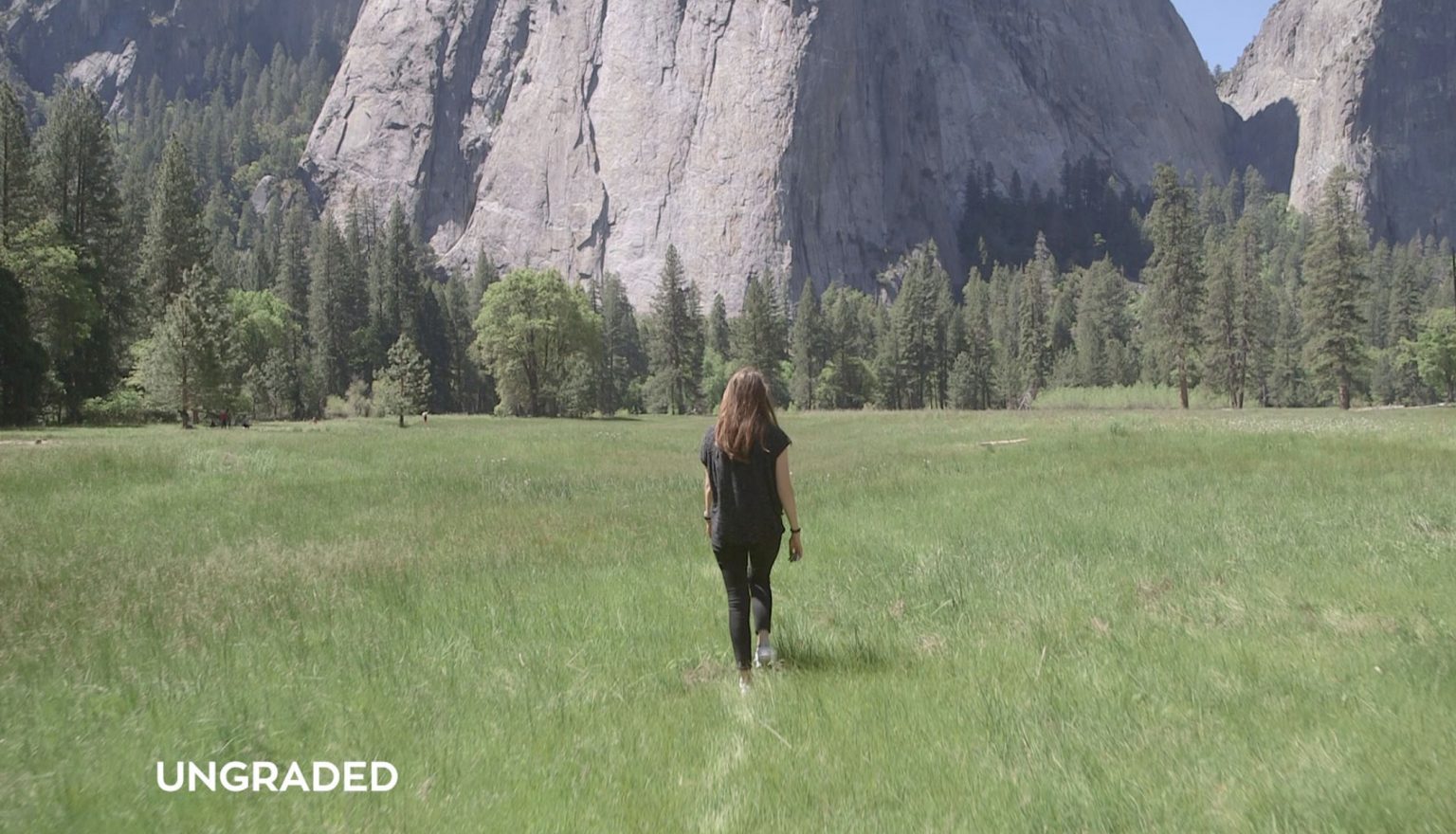 BIZARRE LUTS 1536x880 1