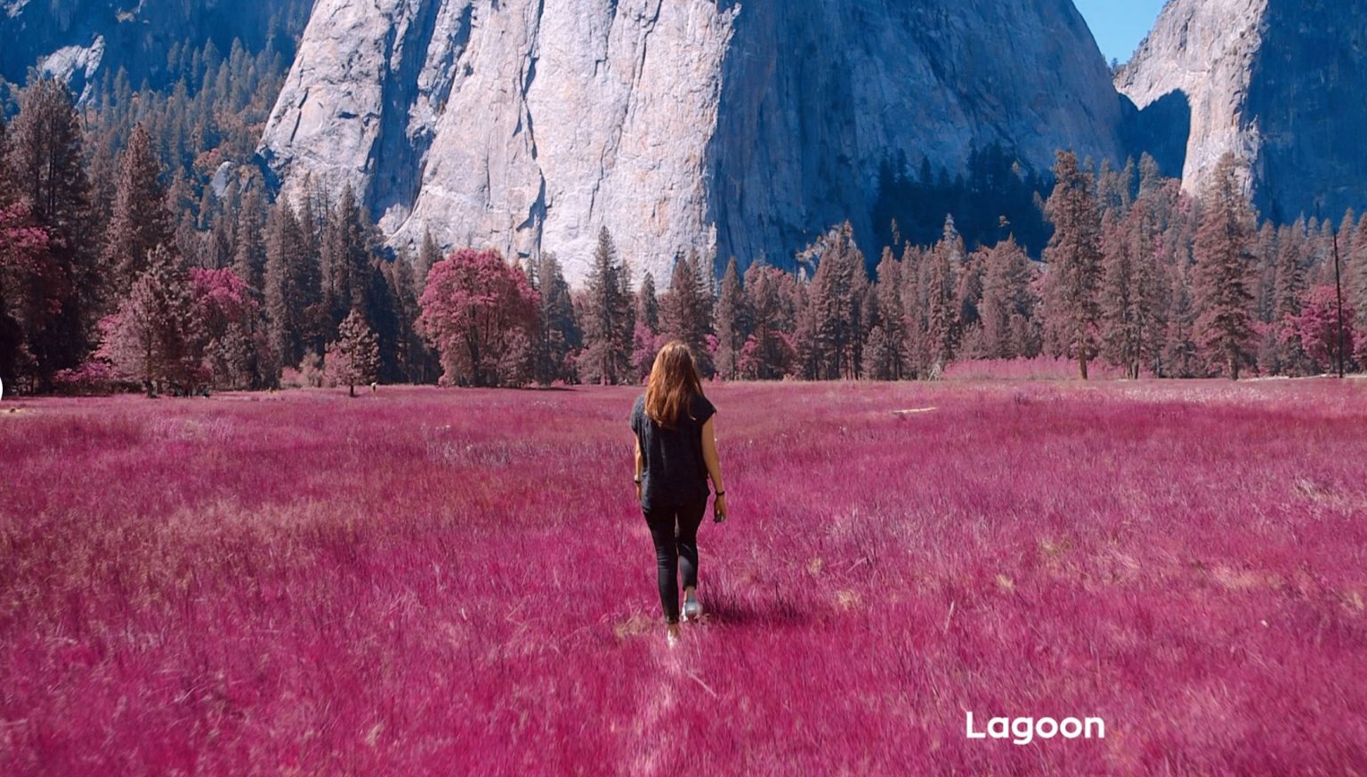 BIZARRE LUTS free 1536x873 1