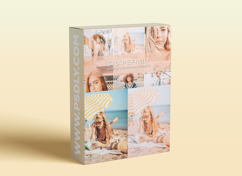 CreativeMarket - 5 Peach Lightroom Presets 5701587