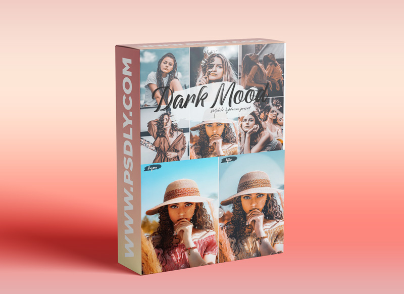Dark Mood Lightroom Presets 7063213