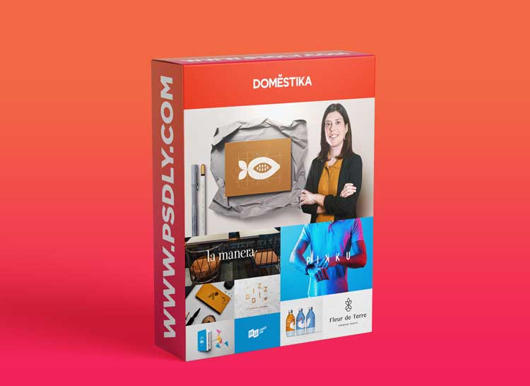 Domestika - Creation of an Original Logo from Scratch