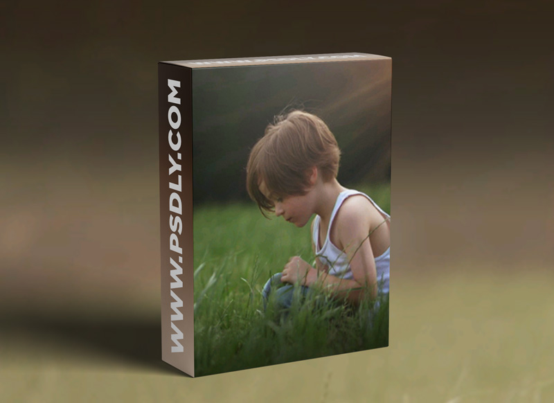 Jackie Jean Photography - Beams of Light and Sun Flare