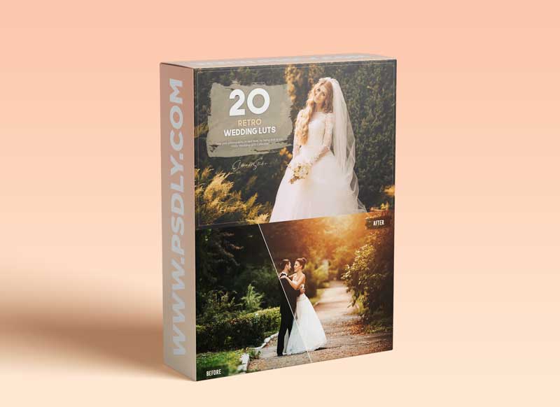 20 Retro Wedding LUTs Pack