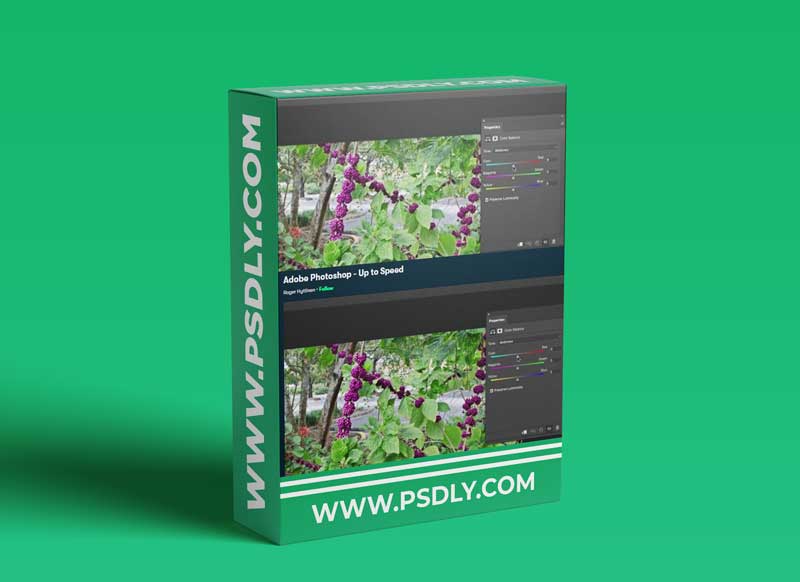 Adobe Photoshop - Up to Speed