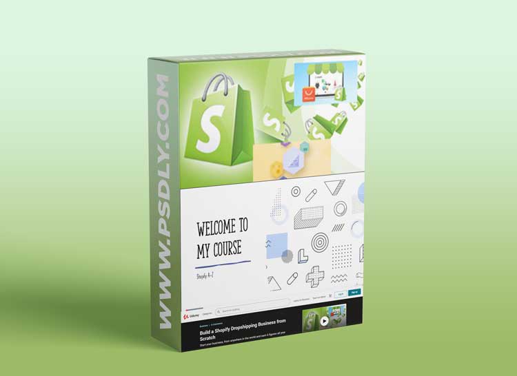 Build a Shopify Dropshipping Business from Scratch