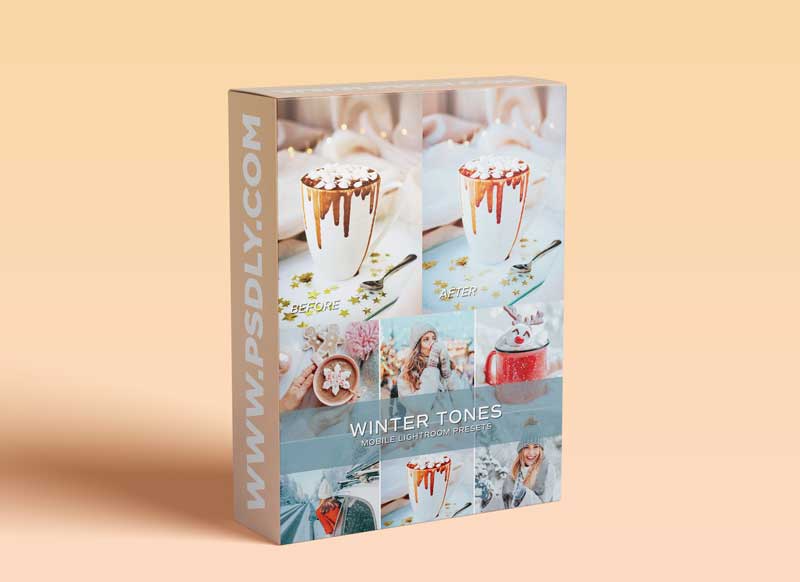 CreativeMarket 20 Holiday Lightroom Preset Bundle 5701823