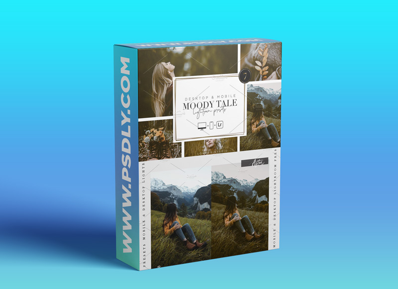 CreativeMarket MOODY TALE Lightroom Presets 5667429