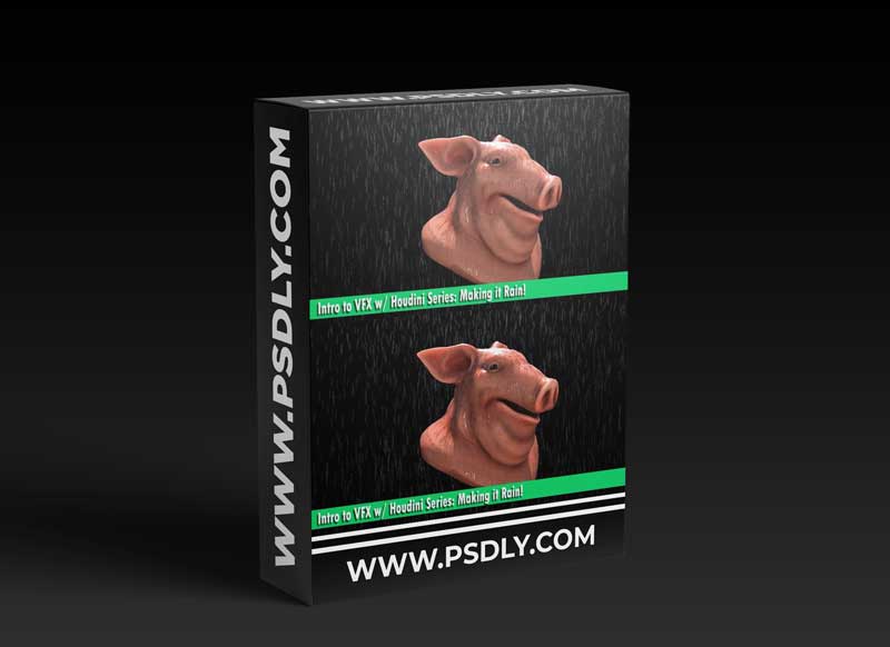 Introduction to VFX w/ Houdini Series: Making it Rain!