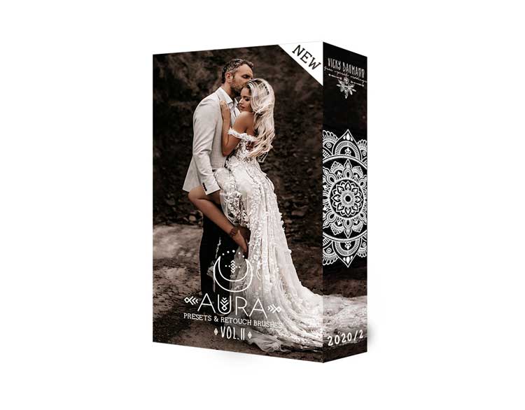 VickyBaumann - AURA Lightroom Presets + Retuschepinsel Volume 2