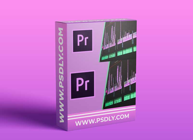 Adobe Premier Pro Masterclass: Everything You Need to Know