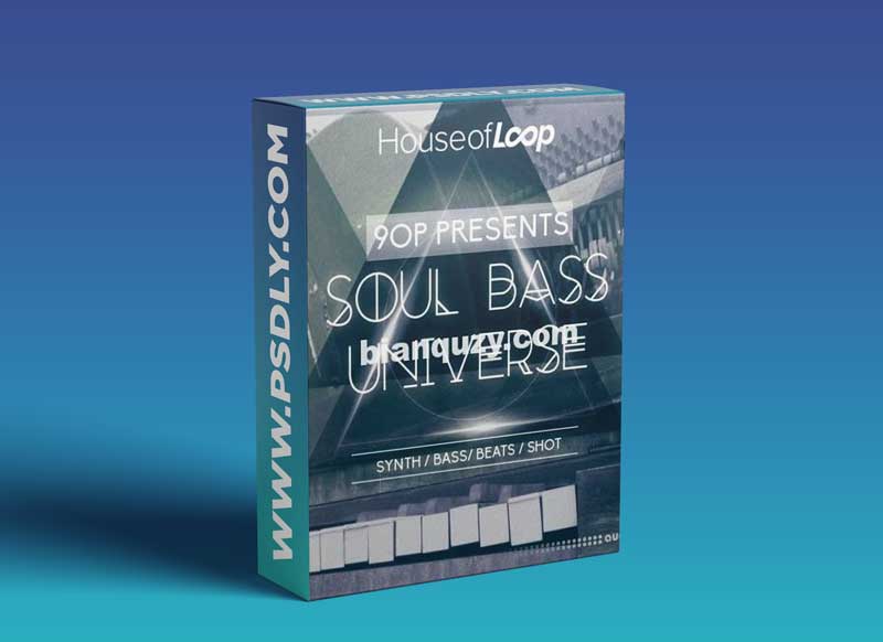 House Of Loop 90P Presents Soul Bass Universe