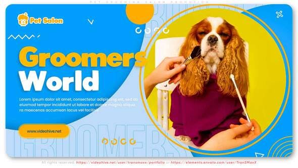 Videohive Pet Grooming Salon Promotion 30723694