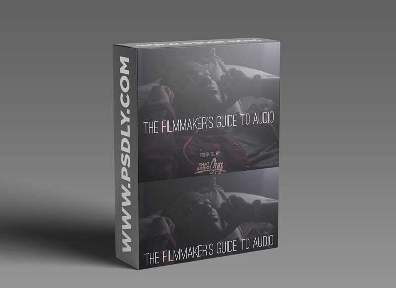 The Filmmaker's Guide to Audio