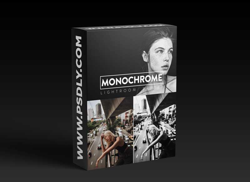 10 Monochrome Lightroom Presets