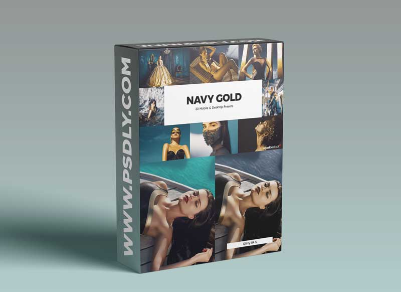 20 Navy Gold Lightroom Presets & LUT
