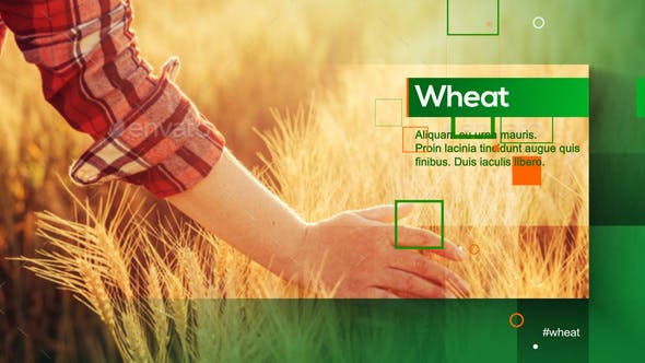Videohive Agrarian Vision 28581167