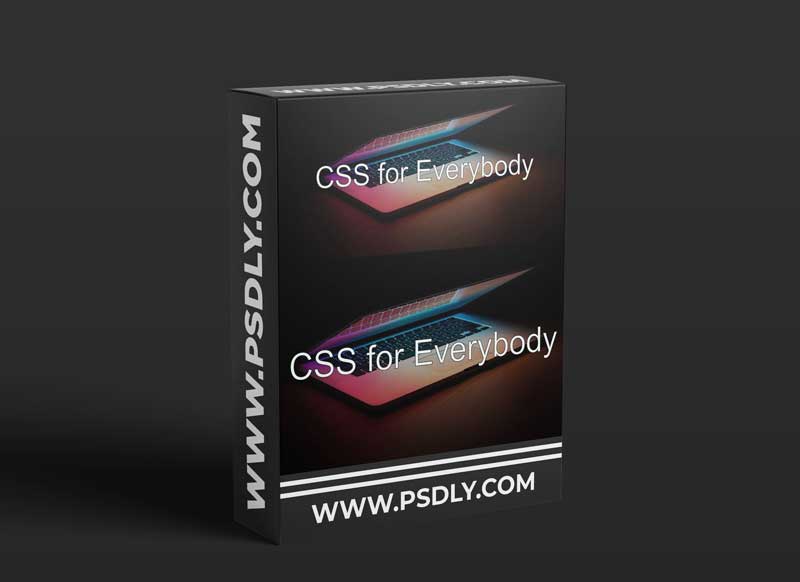 CSS for Everybody: From Beginner to Boss