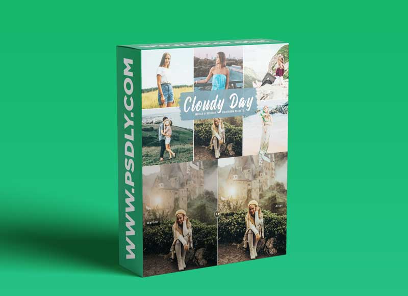 Cloudy Day Mobile & Desktop Lightroom Presets