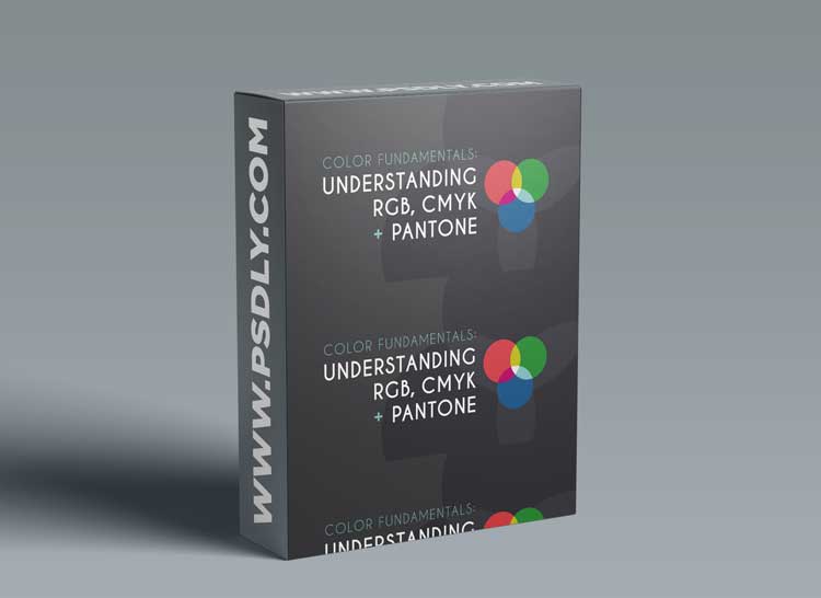 Color Fundamentals: Understanding RGB CMYK + Pantone