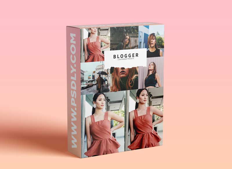 CreativeMarket - 10 Blogger Lightroom Presets 5978578