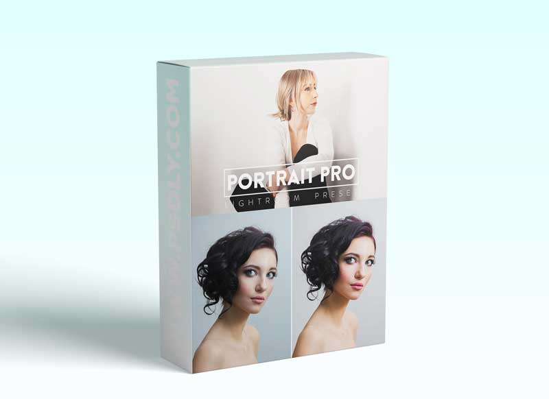10 Portrait Pro Lightroom Presets