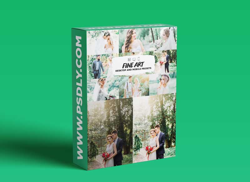 CreativeMarket - Fine art wedding lightroom presets 5953321