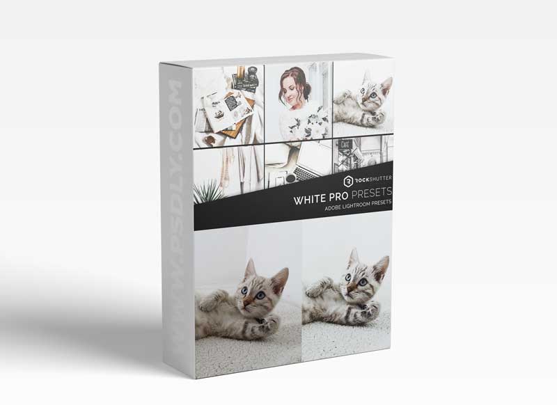 CreativeMarket - WHITE PRO Mobile & Desktop Presets 5963310