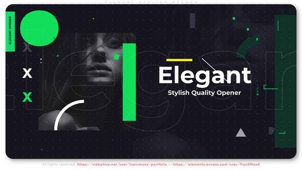 Videohive Elegant Stylish Opener 31032979