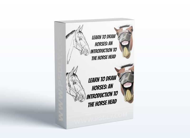 Learn To Draw Horses: An Introduction To The Horse Head