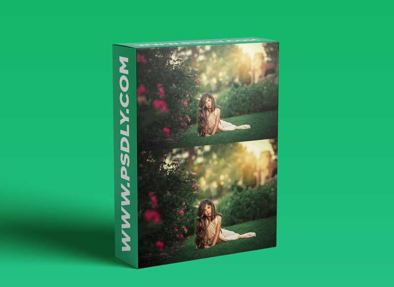 Lisset Perrier Photography - Shade of Greens Tutorial