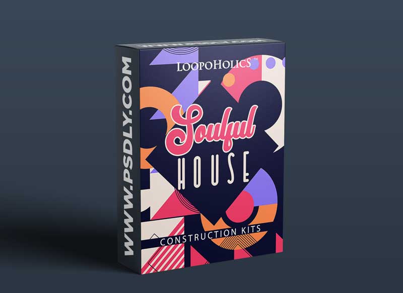 Loopoholics Soulful House Construction Kits