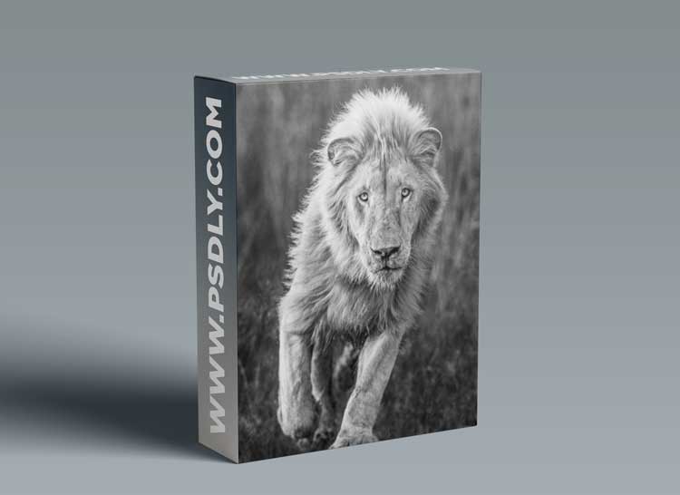 Masters of Photography - David Yarrow