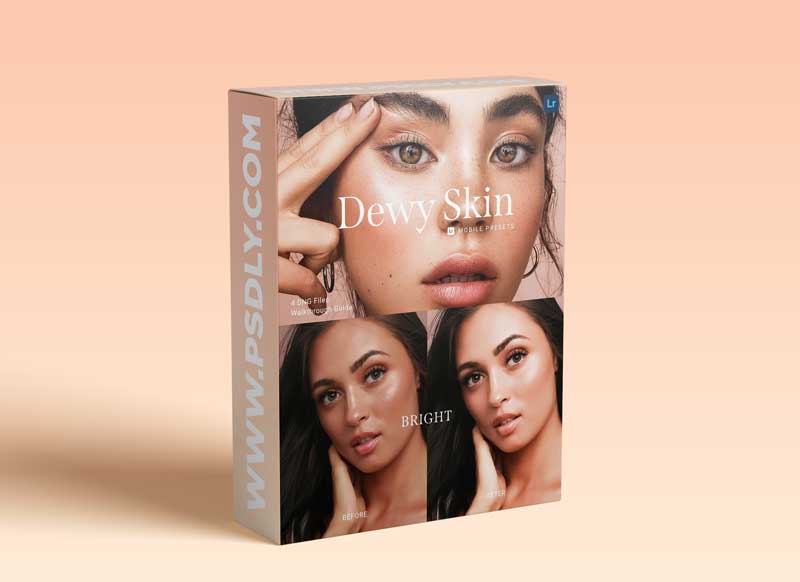 CreativeMarket - 4 Lightroom Presets DEWY SKIN 5914181