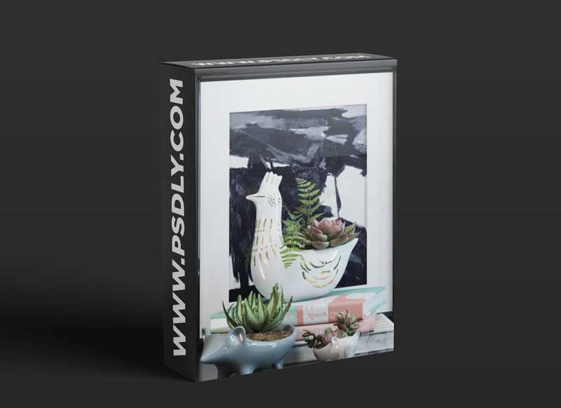 Set chicken and hedgehogs