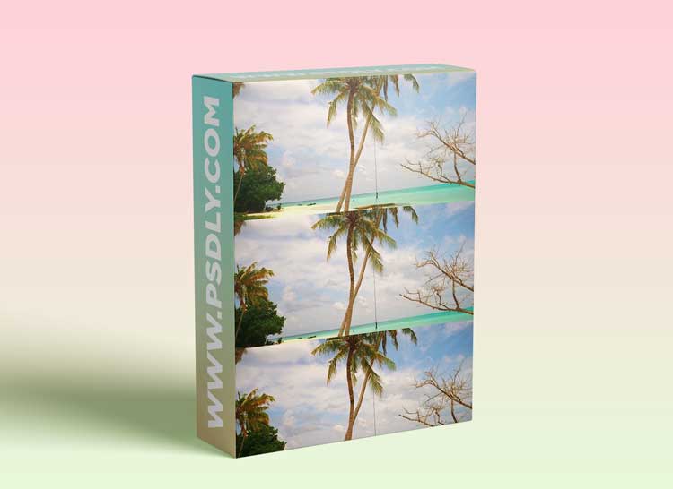 The Art of Filming a Travel Video