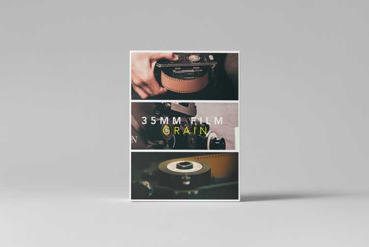 Tropic Colour - 35mm Film Grain