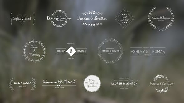 Videohive Wedding Titles 18849528