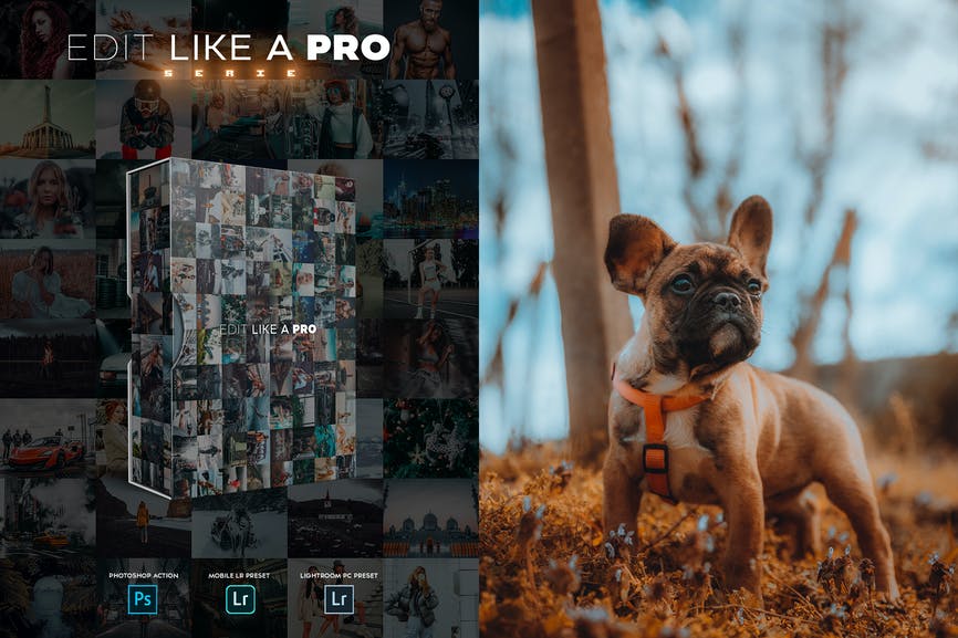 Edit Like A PRO 13th - Photoshop & Lightroom