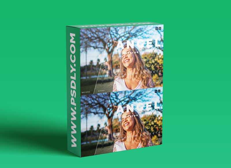 Angel Desktop and Mobile Lightroom Preset