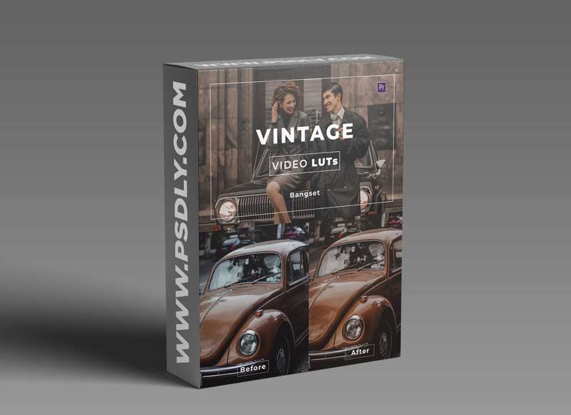 Bangset Vintage Video LUTs