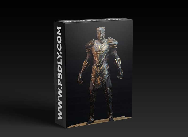 Black Panther – The Wakandan Knight