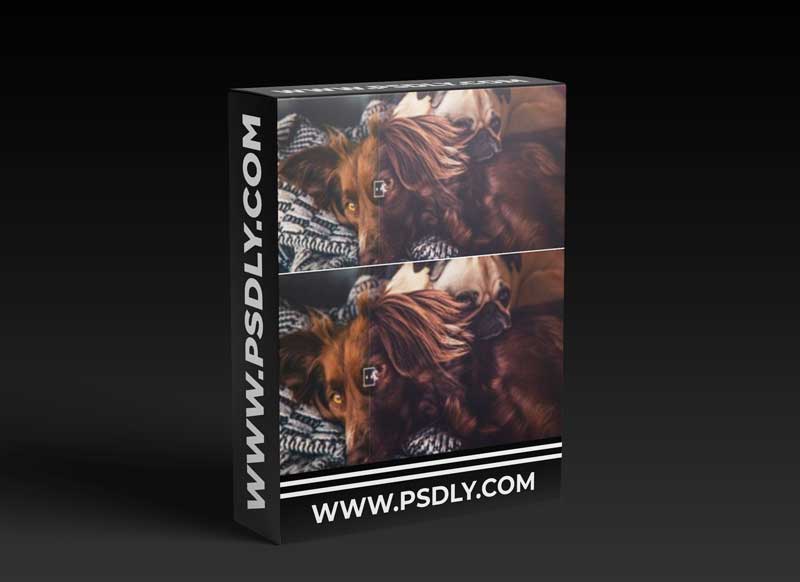 Contrastly Cinestock PS Action