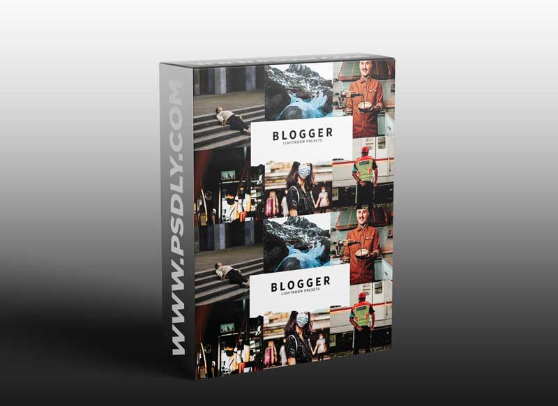 CreativeMarket - 10 Blogger Lightroom Presets 5978576