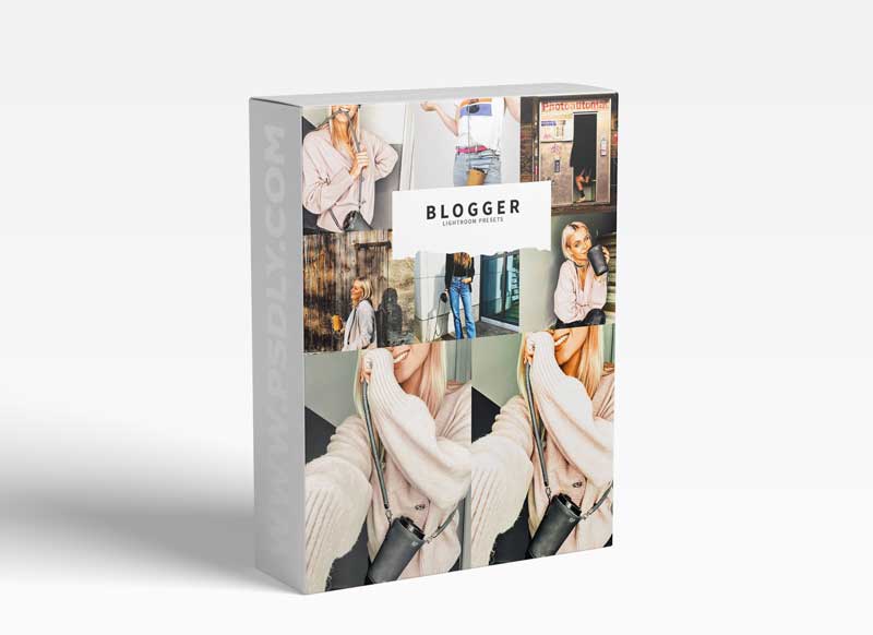 CreativeMarket - 10 Blogger Lightroom Presets 5978580