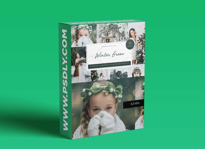 CreativeMarket - 12 x Lightroom Presets Winter Green 5962772