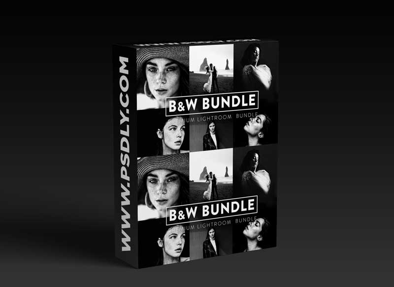 CreativeMarket - 60 BLACK and WHITE Bundle Lightroom 6043136