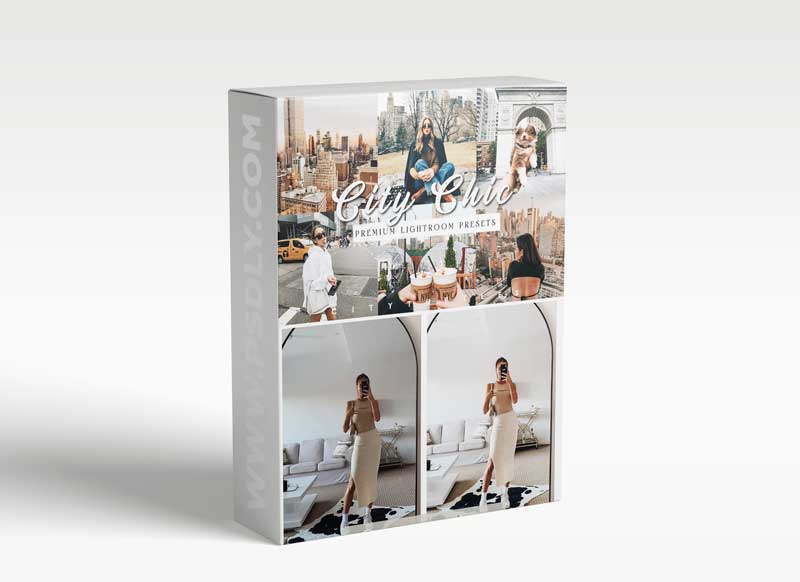 CreativeMarket - CITY CHIC Clean Blogger Presets 5981400